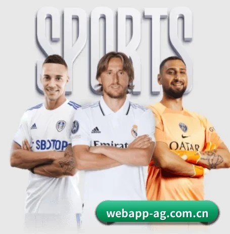 webapp-ag.com.cn的方向
